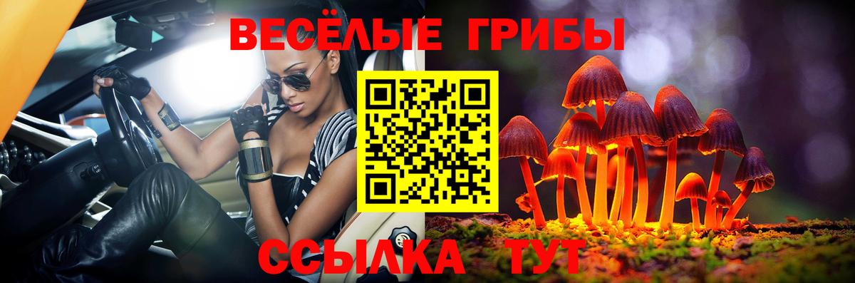 Псилоцибиновые грибы MAGIC MUSHROOMS  Вход с VPN  Котлас 